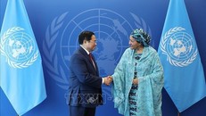 Thủ tướng Phạm Minh Chính gặp bà Amina J. Mohamed, Phó Tổng Thư ký Liên hợp quốc. Ảnh: Dương Giang/TTXVN