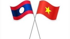Phát triển mối quan hệ hữu nghị, đoàn kết đặc biệt giữa Việt Nam-Lào