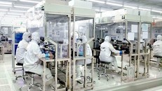 Ảnh minh họa. (Nguồn: TTXVN)