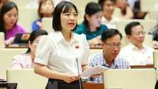 Đâu là nguyên nhân khiến ngày càng có nhiều vụ bạo lực học đường?