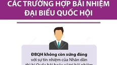 [Infographics] Các trường hợp bãi nhiệm đại biểu Quốc hội