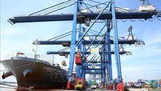 Bốc xếp hàng hóa tại cảng Cát Lái, TP Hồ Chí Minh. Ảnh tư liệu: Danh Lam/TTXVN