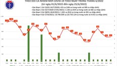Biểu đồ số ca mắc COVID-19 tại Việt Nam đến chiều ngày 25/6