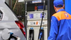 (Ảnh: Tuấn Đức/TTXVN)