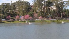 Hồ Xuân Hương. Ảnh tư liệu: Đặng Tuấn/TTXVN