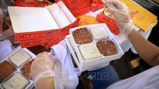 Ảnh minh họa: Thành Đạt/TTXVN