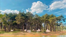 Khu du lịch Rừng thông bản Áng tại xã Đông Sang (Môc Châu, Sơn La). Ảnh: Quang Quyết/TTXVN