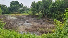 Ảnh minh họa. (Ảnh: Vũ Hà/TTXVN)