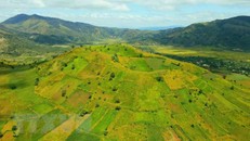 Đỉnh núi lửa Chư Đăng Ya (Chư Păh, Gia Lai) được nhuộm vàng bởi màu dã quỳ rực rỡ. (Ảnh: Hồng Điệp/TTXVN)