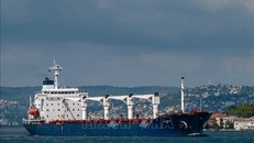 Tàu chở ngũ cốc từ Ukraine di chuyển dọc Eo biển Bosphorus ở Istanbul, Thổ Nhĩ Kỳ, ngày 3/8/2022. Ảnh: AFP/TTXVN
