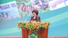 Anh hùng Lao động Thái Hương và 4 đề xuất phát triển kinh tế xanh cho Tây Nguyên