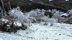 Ảnh minh họa. (Nguồn ảnh: TTXVN)