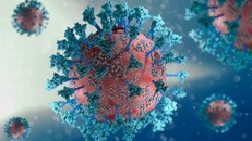 Ảnh minh hoạ: 123rf.com