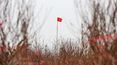 Ảnh minh họa. (Nguồn: Minh Sơn/Vietnam+)