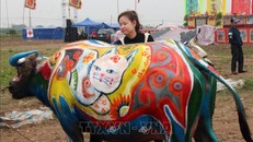 Năm nay là năm Quý Mão nên chủ đề các họa sỹ thể hiện xoay quanh hình tượng con mèo.