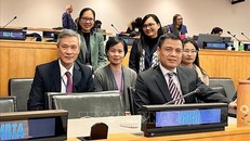 Đoàn liên ngành Việt Nam do Đại sứ Đặng Hoàng Giang (ngoài cùng bên phải), Trưởng Phái đoàn Việt Nam tại Liên hợp quốc làm Trưởng đoàn, tham dự hội nghị. Ảnh: TTXVN