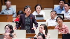 Đại biểu Phạm Khánh Phong Lan, Đoàn ĐBQH TP Hồ Chí Minh.