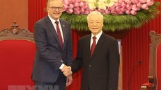 Tổng Bí thư Nguyễn Phú Trọng tiếp Thủ tướng Australia Anthony Albanese. (Ảnh: Trí Dũng/TTXVN)