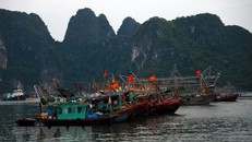 Tàu đánh cá của ngư dân được neo đậu an toàn tại vùng biển Hòn Gai.