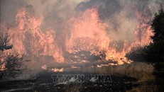 Khói lửa bốc lên ngùn ngụt từ đám cháy rừng tại Dikella, gần Alexandroupoli, Hy Lạp, ngày 23/8/2023. Ảnh: AFP/TTXVN 