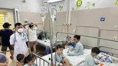 Bệnh nhi mắc sốt xuất huyết đang điều trị tại Khoa Nhi Tiêu hóa, Bệnh viện Đa khoa Xanh Pôn. (Ảnh: T.G/Vietnam+)