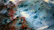 Lo ngại sự cố tràn dầu tại Vịnh Thái Lan có thể ảnh hưởng đến rạn san hô