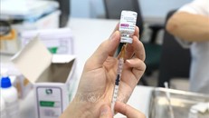 Vaccine của Astra Zeneca. Ảnh tư liệu: Thành Đạt/TTXVN