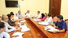 Các đại biểu thảo luận tại tổ. Ảnh: Trí Dũng/TTXVN