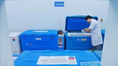 Phòng, chống sốt xuất huyết: Vaccine chưa phải là vũ khí tối thượng