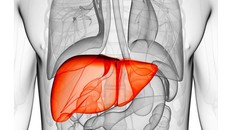 Men gan tăng cao gấp 35 lần sau khi uống thuốc nam không rõ nguồn gốc