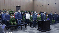 Tòa án nhân dân thành phố Hà Nội xét xử sơ thẩm vụ bị cáo Nguyễn Thị Thanh Nhàn (Chủ tịch Hội đồng Quản trị kiêm Tổng Giám đốc Cty Cổ phần Tiến bộ AIC) và 35 bị cáo trong vụ án xảy ra tại Bệnh viện Đa khoa Đồng Nai, Công ty AIC và các đơn vị có liên quan. (Ảnh minh họa: An Đăng/TTXVN)