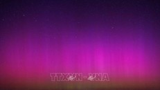 Cực quang xuất hiện tại Biển Bắc ngày 12/8/2024. Ảnh: Getty Images/TTXVN