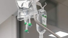 Cha tử vong, con nhập viện nghi do ăn thịt cóc