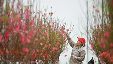 Bộ LĐ-TBXH đề xuất dịp nghỉ Tết Nguyên đán năm 2025 kéo dài 9 ngày