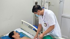 Suy gan, suy thận nặng do mắc loại xoắn khuẩn nguy hiểm lan theo dòng nước lũ 