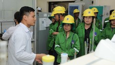 Các đoàn khách hàng tiêu biểu đến thăm quan và tìm hiểu về quy trình sản xuất Đạm Phú Mỹ, NPK Phú Mỹ