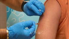 Số ca bệnh đậu mùa khỉ tăng đột biến tại bang đông dân nhất Australia