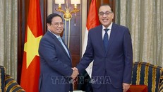 Thủ tướng Phạm Minh Chính hội kiến Thủ tướng Ai Cập