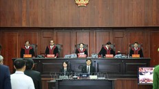 Xét xử phúc thẩm vụ án Vạn Thịnh Phát giai đoạn 1: Trương Mỹ Lan cùng 47 bị cáo hầu tòa