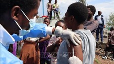 WHO triệu tập cuộc họp khẩn cấp về đậu mùa khỉ