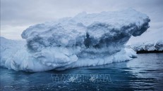 Tảng băng lớn nhất thế giới thoát khỏi Nam Cực