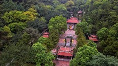 Phát huy giá trị Khu di tích quốc gia đặc biệt Côn Sơn - Kiếp Bạc