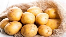 Phương pháp giữ trái cây và rau quả tươi trong nháy mắt