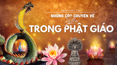 Những câu chuyện về Rắn trong Phật giáo