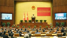 Khẳng định vai trò thiết yếu của Đảng trong tiến trình phát triển đất nước Việt Nam