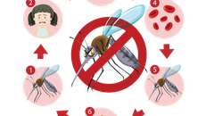 Số ca mắc sốt rét giảm trên 20%