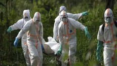 WHO vào cuộc truy nguyên bệnh lạ ở Congo khiến người mắc bệnh tử vong trong 48 giờ