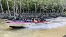 Du lịch tự túc lên ngôi trong năm 2025