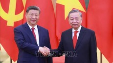 Tổng Bí thư Tô Lâm hội đàm với Tổng Bí thư, Chủ tịch nước Trung Quốc Tập Cận Bình 