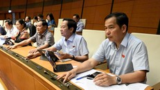 Các đại biểu Quốc hội biểu quyết thông qua Nghị quyết (Ảnh: Quang Vinh)